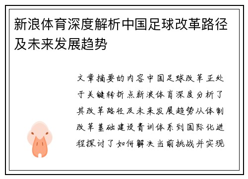 新浪体育深度解析中国足球改革路径及未来发展趋势